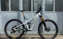 Pivot Firebird Pro XT/XTR kaufen in Zurich #1 | velomarkt.ch