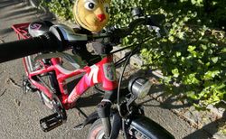 20“ Kindervelo | Volle Ausstattung | velomarkt.ch