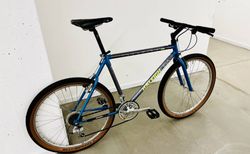 Raleigh Technium CHILL kaufen in Aargau #4 | velomarkt.ch