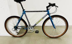 Raleigh Technium CHILL | – cool geblieben seit den 90ern | velomarkt.ch