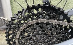 Bold Linkin Trail LT kaufen in Grisons #3 | velomarkt.ch