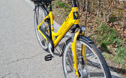 Neuwertiges Citybike / Urban zu verkaufen kaufen in Thurgau #2 | velomarkt.ch