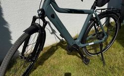 E-Bike Riese &amp; Müller Culture Vario, Gr. 56 kaufen in Ticino #4 | velomarkt.ch