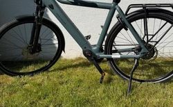 E-Bike Riese & Müller Culture Vario, Gr. 56 | Neues Fahrrad | velomarkt.ch
