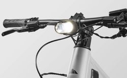 Canyon Pathlite:ON 9 SUV | 25km/h e-Bike zu verkaufen | velomarkt.ch