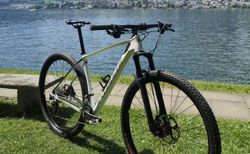 Specialized Custom-Built | Carbon Hardtail 29” - L - 10.3 kg | velomarkt.ch