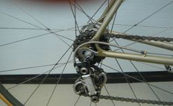 Masi Prestige kaufen in Appenzell Innerrhoden #2 | velomarkt.ch