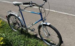 Vintage MountainBike Grösse XL, Marke Kristall kaufen in Zurich #1 | velomarkt.ch