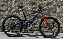 Specialized Enduro - Custom Build | Specialized Enduro - L | velomarkt.ch