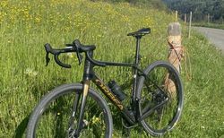 Orbea Terra M31e Team kaufen in Berne #2 | velomarkt.ch