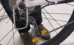 Allegro Bike City/Trekking Weiss – Scheibenbremsen, Federgabel kaufen in Zürich #4 | velomarkt.ch