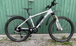 Ben-e-Bike, Twentysix E-Power Pro | Cooles E-Mountainbike für Kids (oder kl. Person) | velomarkt.ch