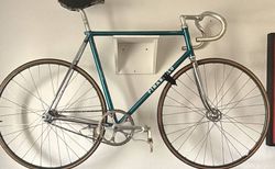 NOS Pinarello Bahnrad kaufen in Thurgau #1 | velomarkt.ch