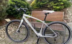 Specialized Vita expert neu | Damen Rennrad Carbon | velomarkt.ch