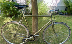 Braggion - Italienisches Singlespeed | Braggion - Italienisches Singlespeed | velomarkt.ch