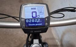 Ibex Avantgarde E bike mit Riemenantrieb kaufen in Basilea-Città #2 | velomarkt.ch