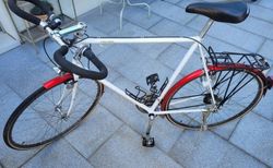 Schöni Velo kaufen in Basilea-Campagna #4 | velomarkt.ch