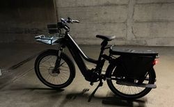 Riese &amp; Müller Multicharger Mixte GT Rohloff 625 kaufen in Genf #3 | velomarkt.ch