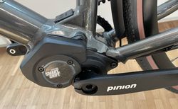 E-Bike Desiknio DOPAMINE X20 1.9 Pinion Smart Shift - NEU kaufen in Zürich #3 | velomarkt.ch
