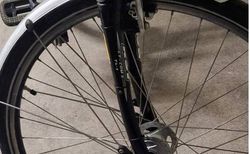Damenvelo der Marke Wheeler kaufen in Berna #4 | velomarkt.ch