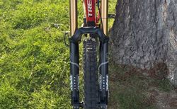 TREK Session 9.9 DH 27.5 Race Shop Limited kaufen in Thurgau #3 | velomarkt.ch