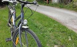 Crosswave Velo | 26 Zoll | velomarkt.ch