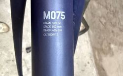 CANYON EXCEED CF SLX 29 - M - 2024 - XC RACERAHMEN INKL. GABEL UND COCKPIT kaufen in Zürich #4 | velomarkt.ch
