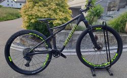 29" Specialized Carbon Race Fully, XTR, X01 Eagle kaufen in Zurigo #2 | velomarkt.ch