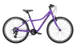 Naloo 24 24 violett | 4510.0121 | velomarkt.ch