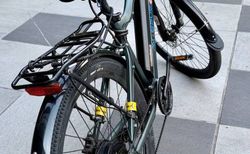 E-bike elettrica Aversus kaufen in Ticino #2 | velomarkt.ch
