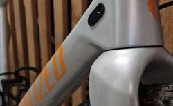 SPECIALIZED Diverge 4 Comp Carbon 2026 kaufen in Berne #2 | velomarkt.ch