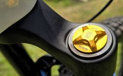 Canyon Torque CF CLLCTC FW (2024) kaufen in Solothurn #2 | velomarkt.ch