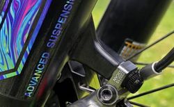 Canyon Torque CF CLLCTC FW (2024) kaufen in Solothurn #3 | velomarkt.ch
