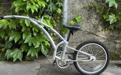 Adams Trail-a-Bike (Kid trailer) kaufen in Vaud #1 | velomarkt.ch