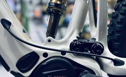Pivot Shuttle AM Pro XO kaufen in Uri #2 | velomarkt.ch