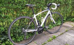 Specialized Dolce, 51" kaufen in Bern #3 | velomarkt.ch