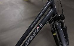 Mondia Damenvelo | Damenfahrrad | velomarkt.ch
