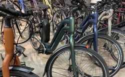 MTB CYCLETECH EBIKES LIQUIDATION | Diverse Modelle 25 sowie 45 km/h | velomarkt.ch