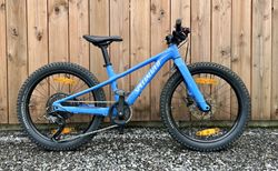 Specialized Riprock 20´´ | blau | velomarkt.ch