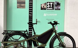 Tern Orox S12 29' Perf. CX w 800WhPine/Gray, M: 155-185 cm | Pine/Gray, 74 cm / 29" (M), Shimano Deore XT Shadow+, 1x12 | velomarkt.ch