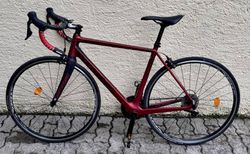 Corratec CCT Team 105 – Carbon-Rennrad, nahezu neuwertig | RH 51 (Grösse M) | Corratec CCT Team 105 Carbon RH51,  | velomarkt.ch