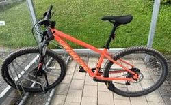 Specialized Mountainbike zum Verkauf kaufen in Zurich #2 | velomarkt.ch