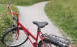 MTB mit Damenrahmen kaufen in Zurich #4 | velomarkt.ch