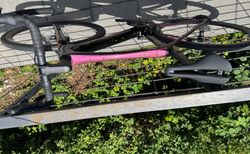 Trek Domane SLR 7 Gen 4 Project One Sunburst kaufen in Argovia #4 | velomarkt.ch