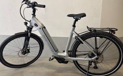 Tour de Suisse Flair | Flair 25 km/h | velomarkt.ch