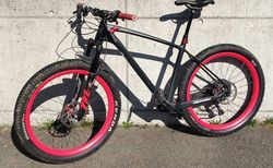 Eigenbau voll Carbon Hardtail kaufen in Aargau #3 | velomarkt.ch