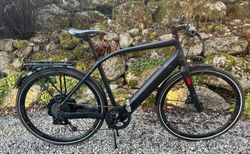 Specialized Turbo FLR kaufen in Berne #3 | velomarkt.ch