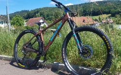 Santa Cruz Chameloen C kaufen in Argovie #3 | velomarkt.ch