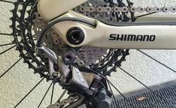 BiXS Team Bike "Pace Team" kaufen in Zurigo #4 | velomarkt.ch