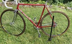 Zu verkaufen: RENNVELO PINARELLO TREVISO | Pinarello Sammlerstück. | velomarkt.ch